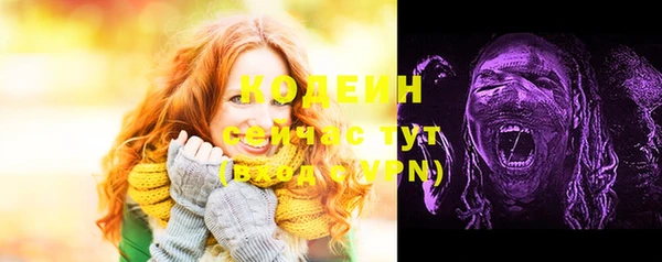 МДМА Каменка