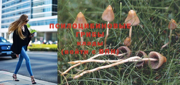дистиллят марихуана Каменногорск